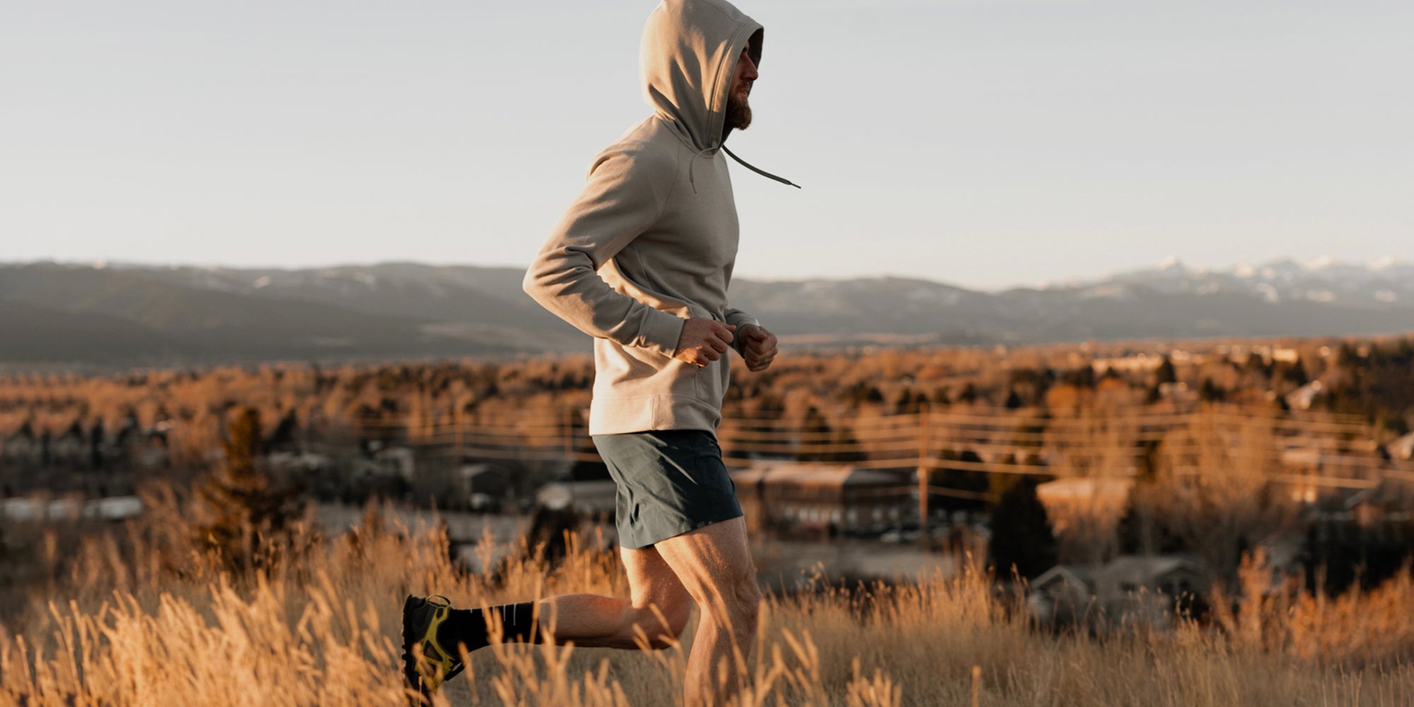 Hoodies Collection