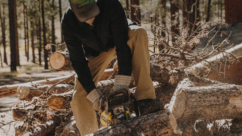 Alt text not provided for this image