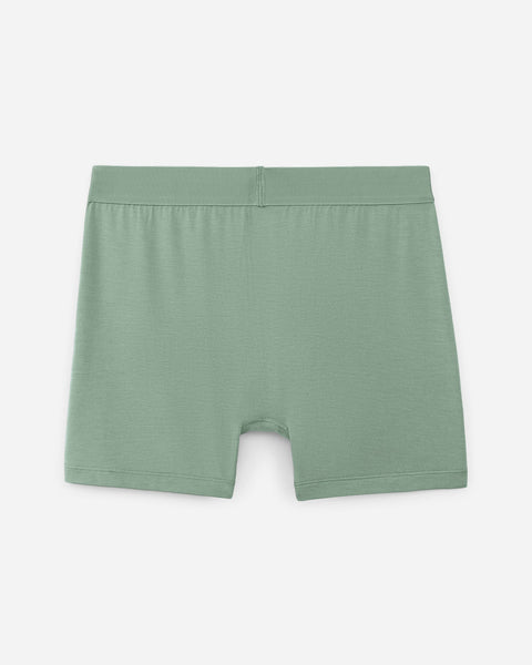 A-L Boxer showcase | variant:fir