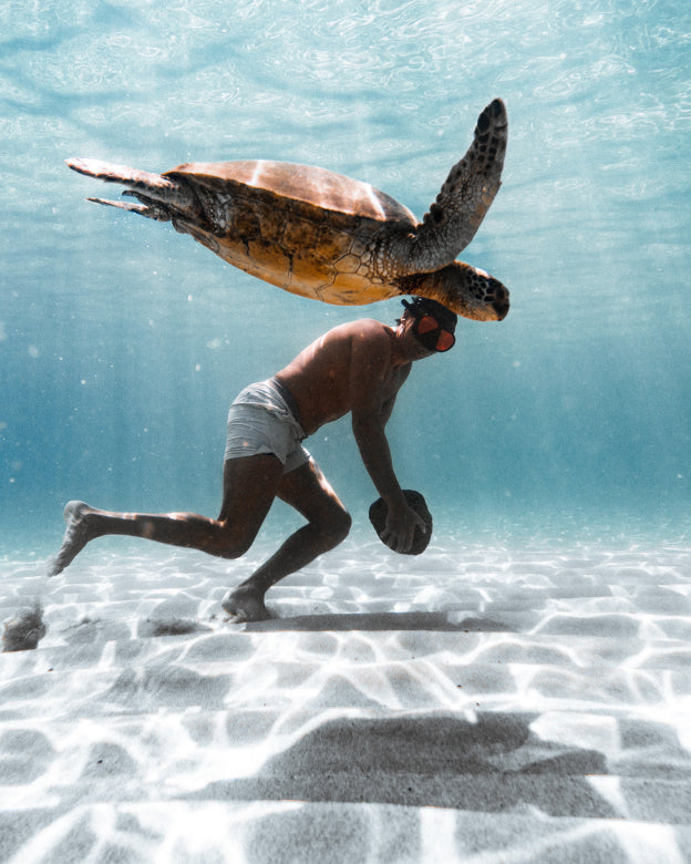 Set Short | 6.5-inch – Ten Thousand