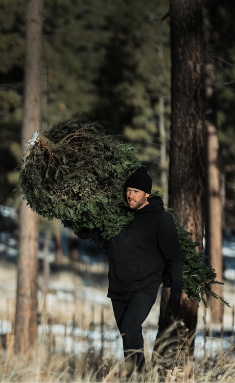 Alt text not provided for this image