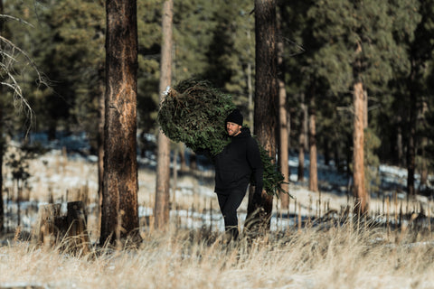 Alt text not provided for this image