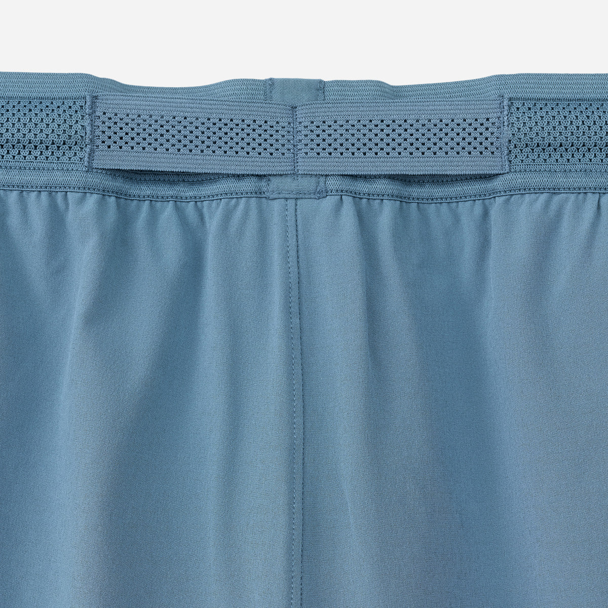 Session Short (Liner) - Bluefin